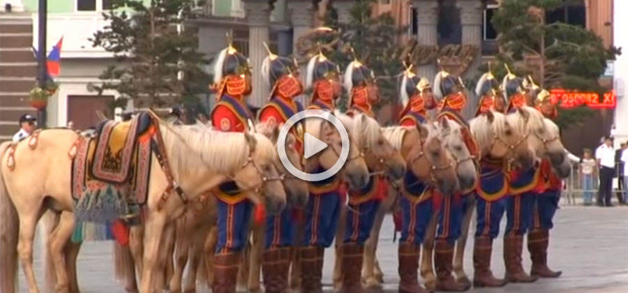 PARLAMENTO MONGOLIA CABALLOS VIDEO