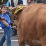 07-07-2016 la laguna arrastre de ganado en san benito