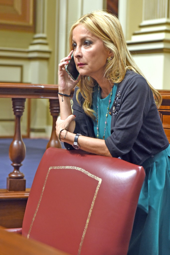 Australia Navarro, portavoz del grupo parlamentario Popular. / SERGIO MÉNDEZ