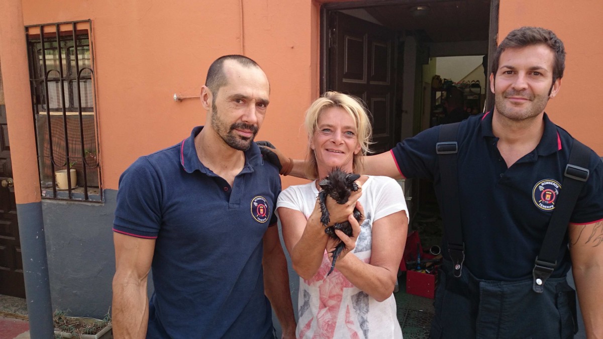 El gato resultó ileso... pero calado hasta los huesos. / DA