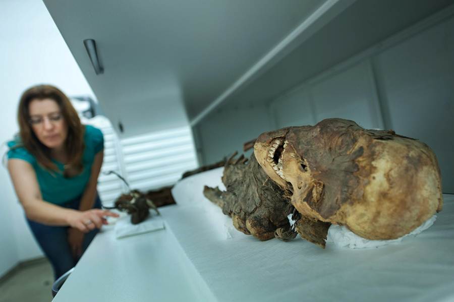 Una de las momias que se encuentran en el Museo de la Naturaleza y el Hombre de la capital tinerfeña. FRAN PALLERO