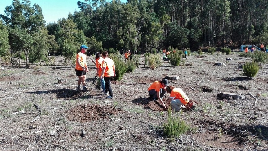 Tenerife Walking Festival cumple su compromiso "huella cero"