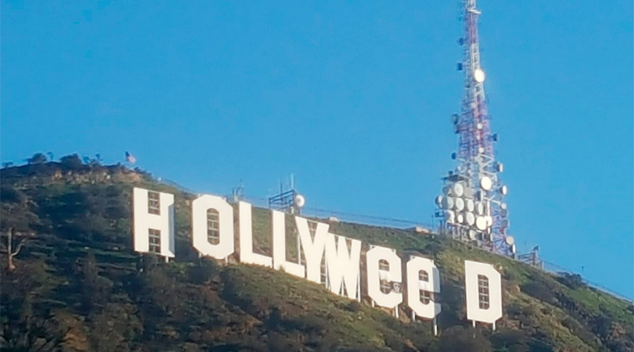 HOLLYWEED