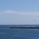 Helicópteros procediendo a la localización de la embarcación y rescata de sus ocupantes | DA