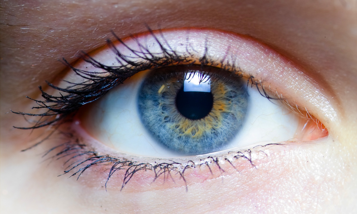 Ojo azul, moscas volantes