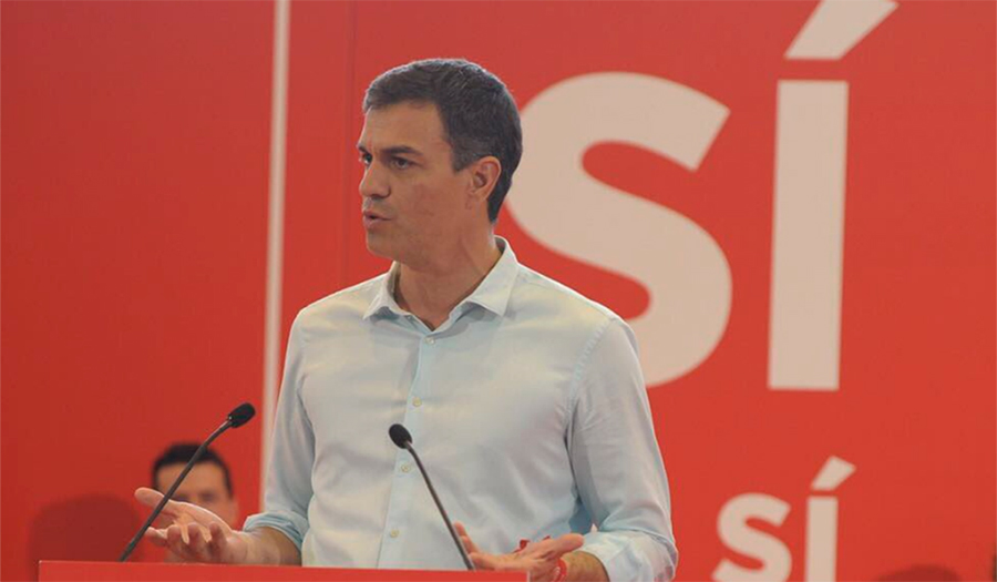 PEDRO SÁNCHEZ 2017