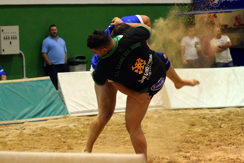 Llano del Moro Tegueste Fabian Rocha Oliver Gil lucha canaria (4)
