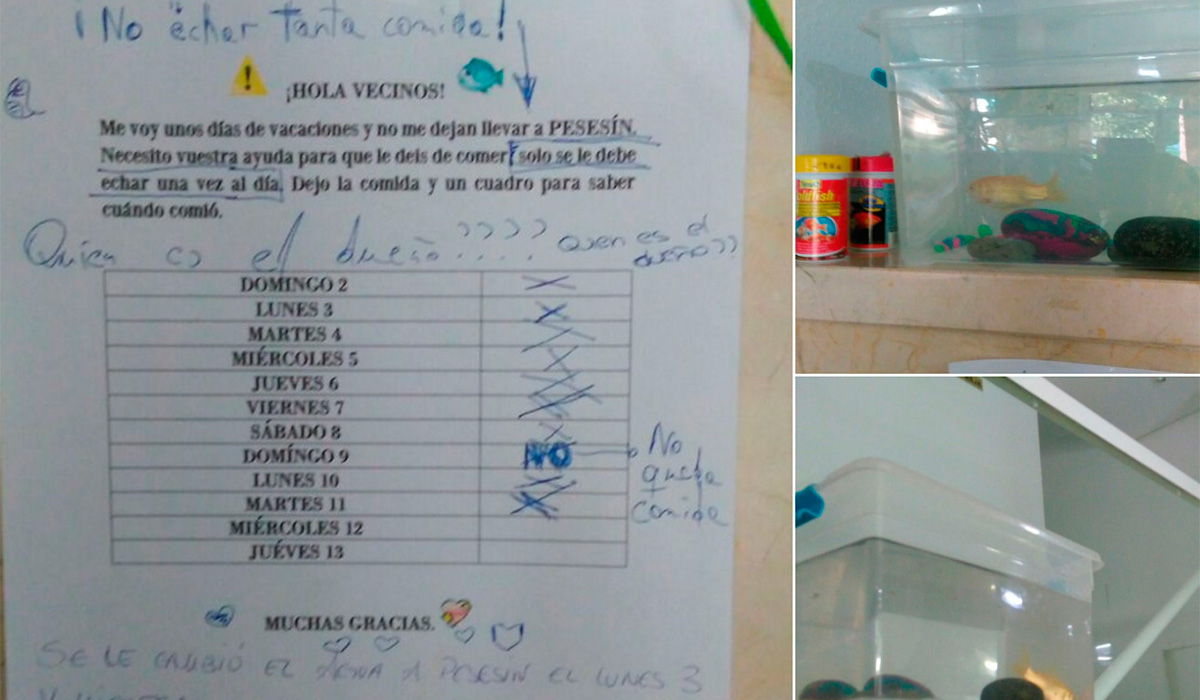 PESESÍN TWITTER