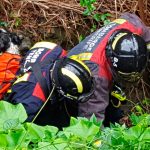 RESCATE PERRO TACORONTE