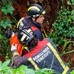 RESCATE PERRO TACORONTE