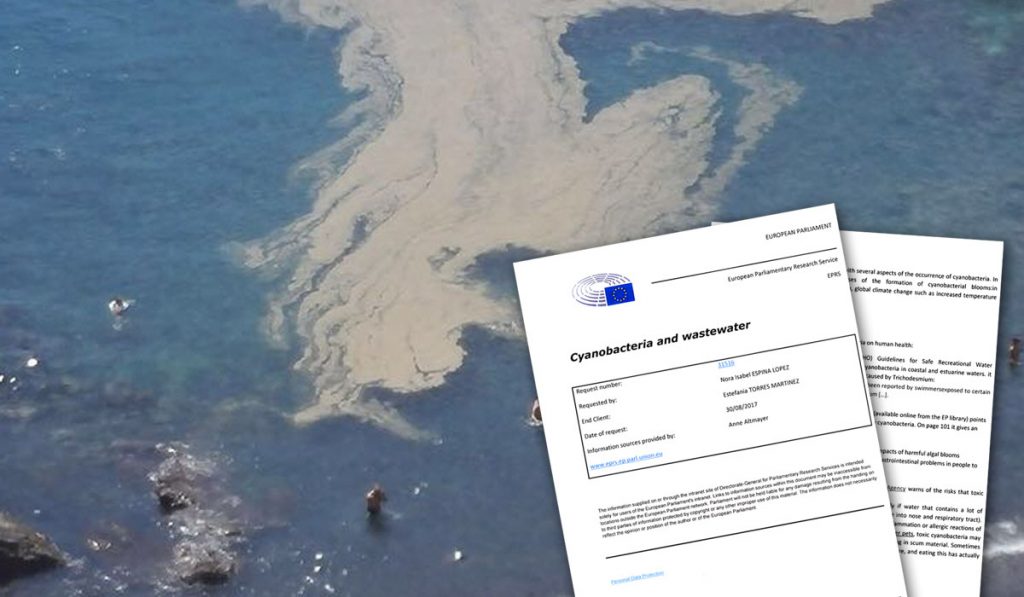 Niños y mayores se bañan junto a las cianobacterias en Santiago del Teide el pasado agosto; a la izquierda, el documento de la Eurocámara. DA