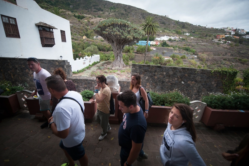 Miles de personas se acercan cada año a Icod de los Vinos a visitar el drago milenario. Fran Pallero