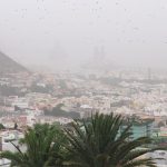 Santa Cruz amanece envuelta en calima | Sergio Méndez