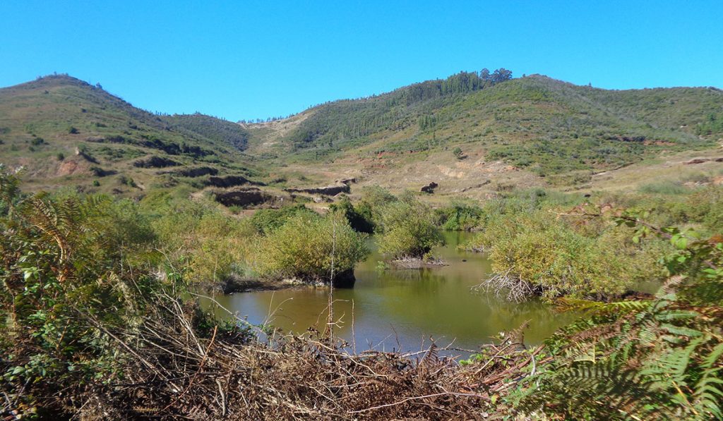 CHARCAS DE ERJOS