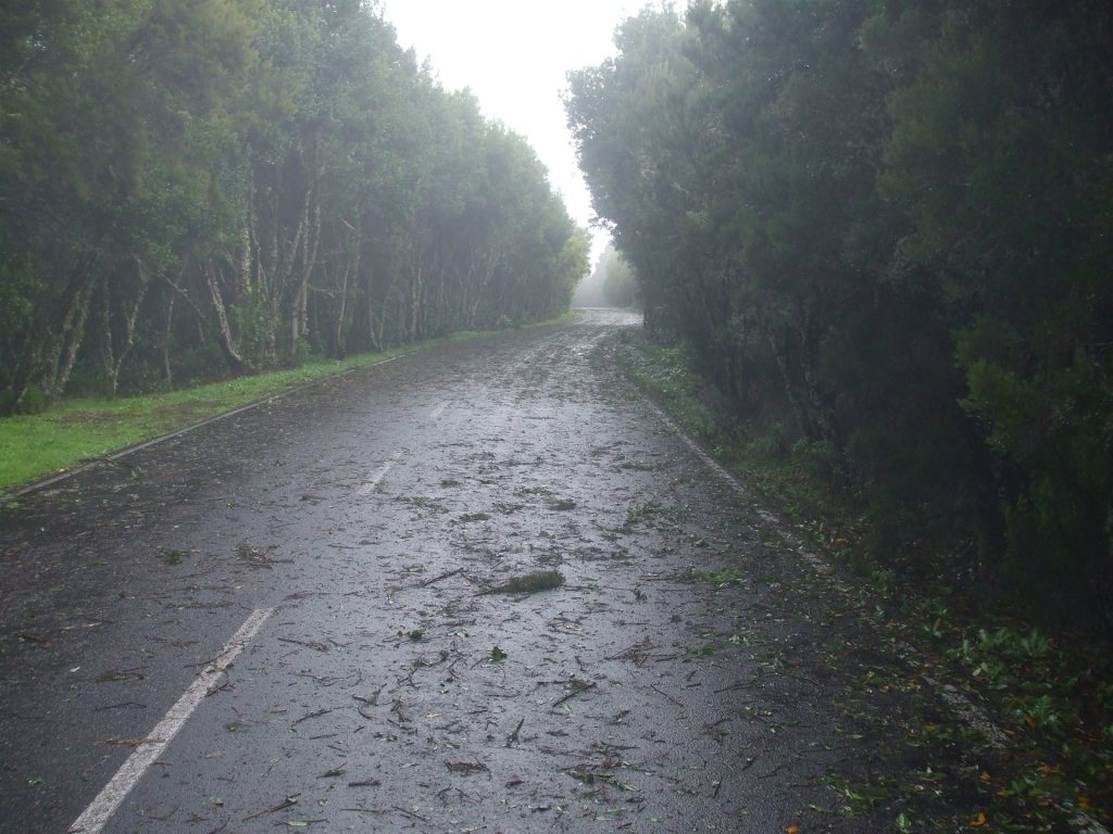 Efectos del viento en una carretera canaria. / EP
