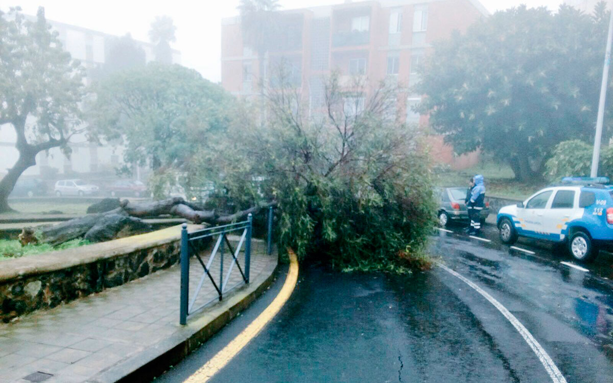 BORRASCA CANARIAS FEBRERO 2018 LAS CHUMBERAS