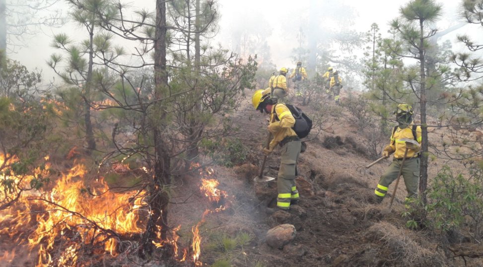 Efectivos luchando contra el incendio en Granadilla. / CABILDO DE TENERIFE