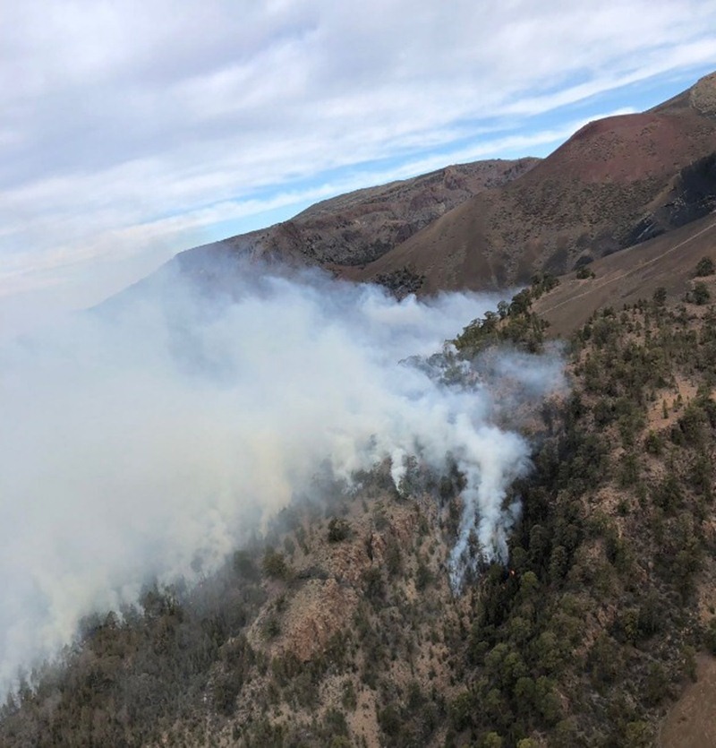 Incendio en los altos de Arico. / 112
