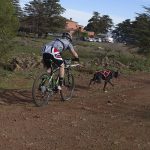 Moab Antonio González ganó en bikejorig. Norchi