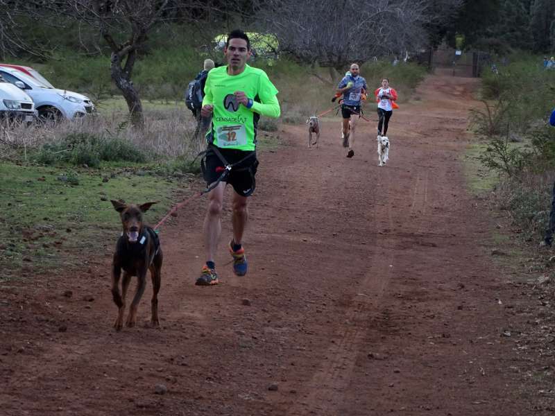 En el canicross contó con medio centenar de participantes. Norchi