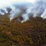 Columnas de humo, ayer a primera hora de la mañana en la corona forestal. DA