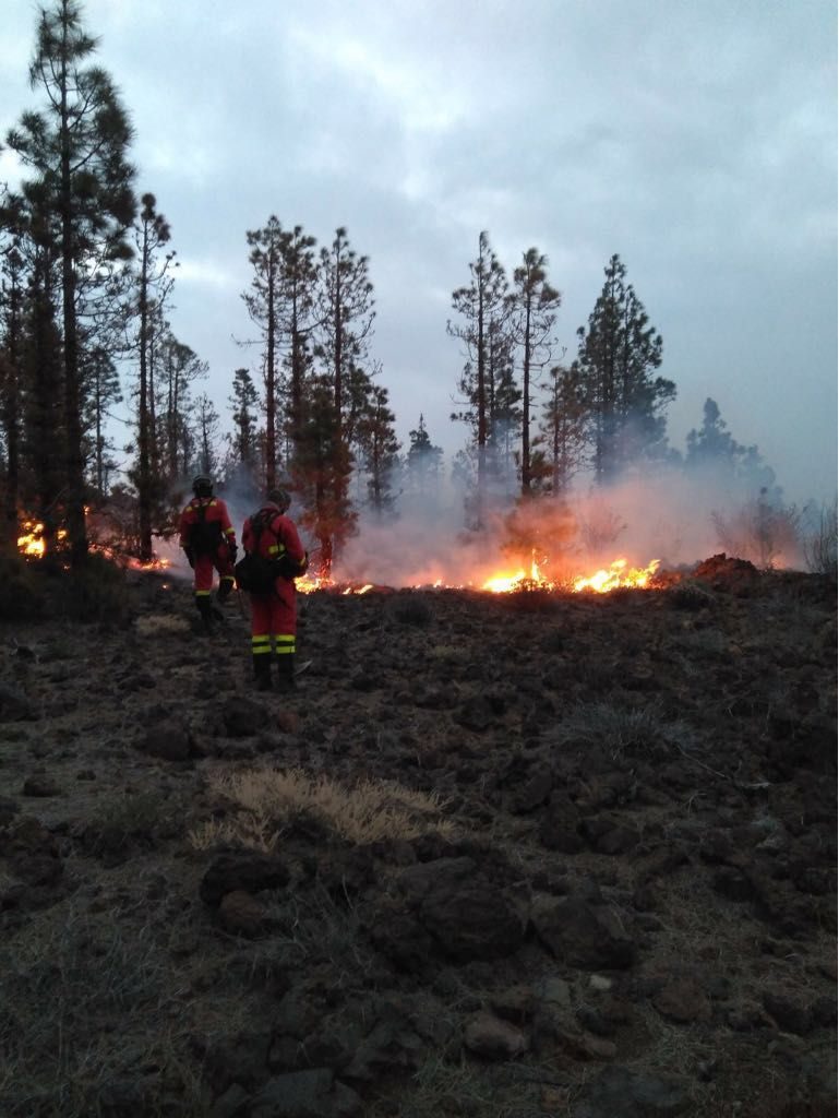 El incendio comenzó la noche del domingo y se espera que hoy pueda quedar controlado, con labores de tierra y aire. DA