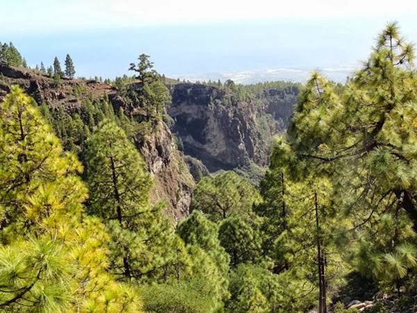 Barranco de El Río, donde debería estar el puente que completaría el corredor forestal de la Isla. DA