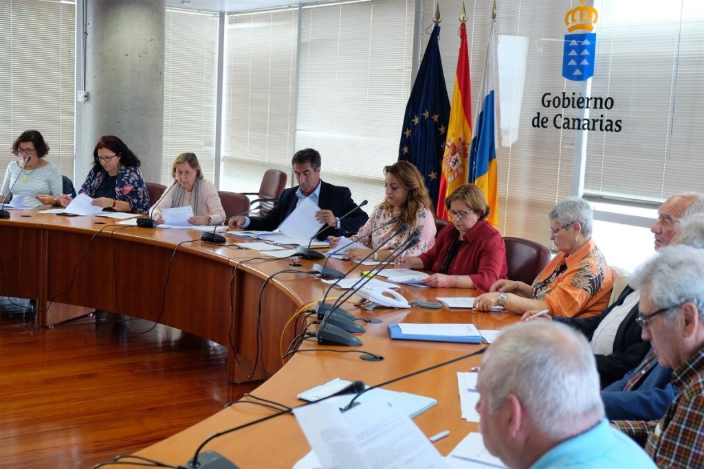 La consejera Cristina Valido, con el Consejo de Mayores. DA