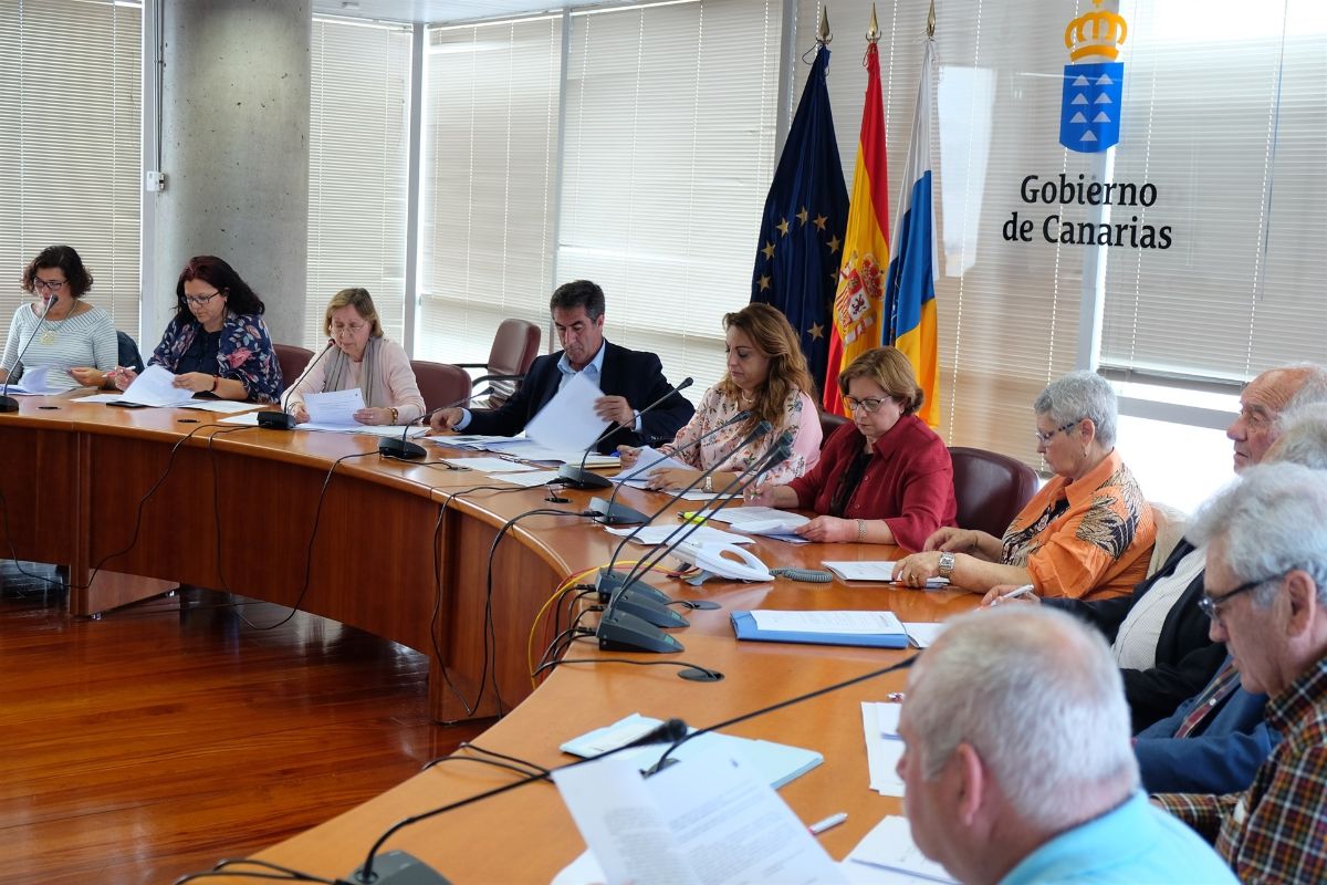 La consejera Cristina Valido, con el Consejo de Mayores. DA
