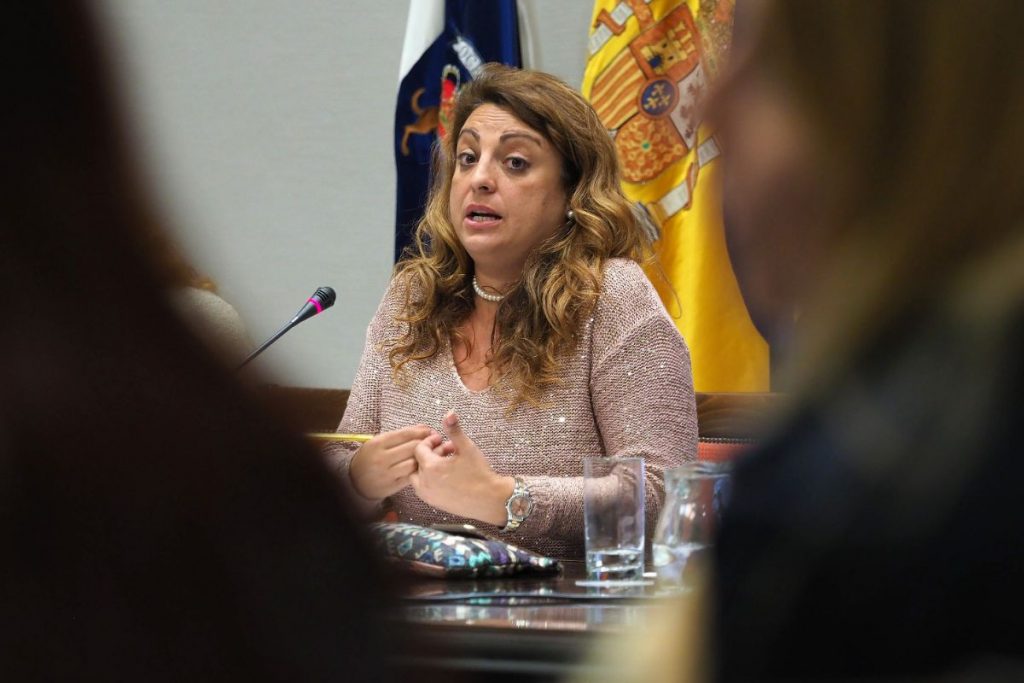 La consejera de Políticas Sociales del Gobierno regional, Cristina Valido, durante la comparecencia parlamentaria de ayer. Sergio Méndez