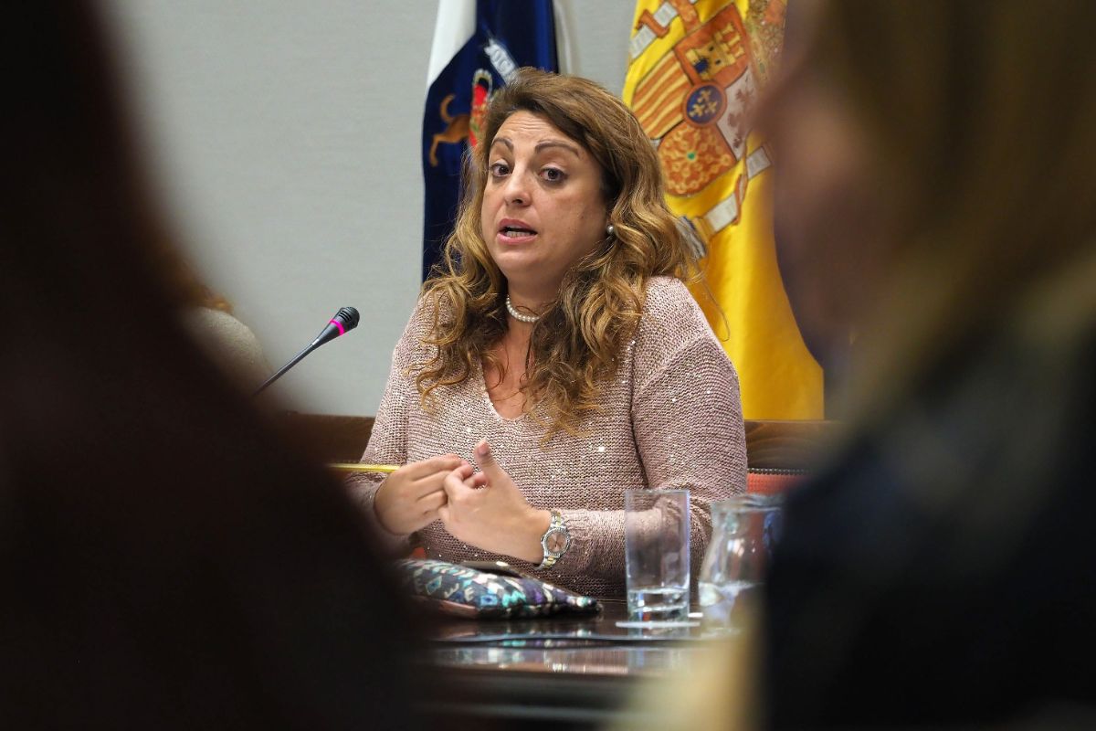 La consejera de Políticas Sociales del Gobierno regional, Cristina Valido, durante la comparecencia                          parlamentaria de ayer. Sergio Méndez