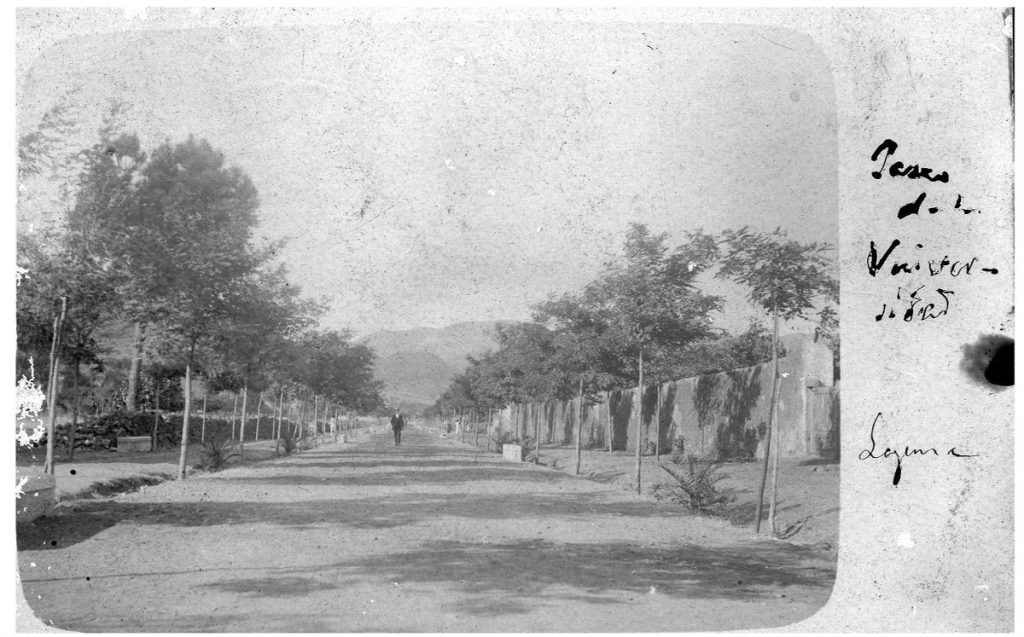 Probablemente, la foto más antigua del camino, del Centro de Fotografía Isla de Tenerife. Foto Cedida