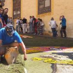 Grandes y pequeños trabajaron juntos en la confección de tapices y corridos que conformaron el trayecto por el que discurrió la procesión del Santísimo. Sergio Méndez
