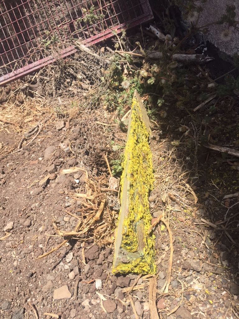 Activan el protocolo por riesgo radiológico tras hallar un objeto “de un avión” en La Laguna. | DA