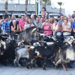 Numeroso público asistió ayer a la representación del hallazgo de la Virgen por los Guanches de Candelaria, una ceremonia que cuenta con más de dos siglos de antigüedad. Fotos: Sergio Méndez