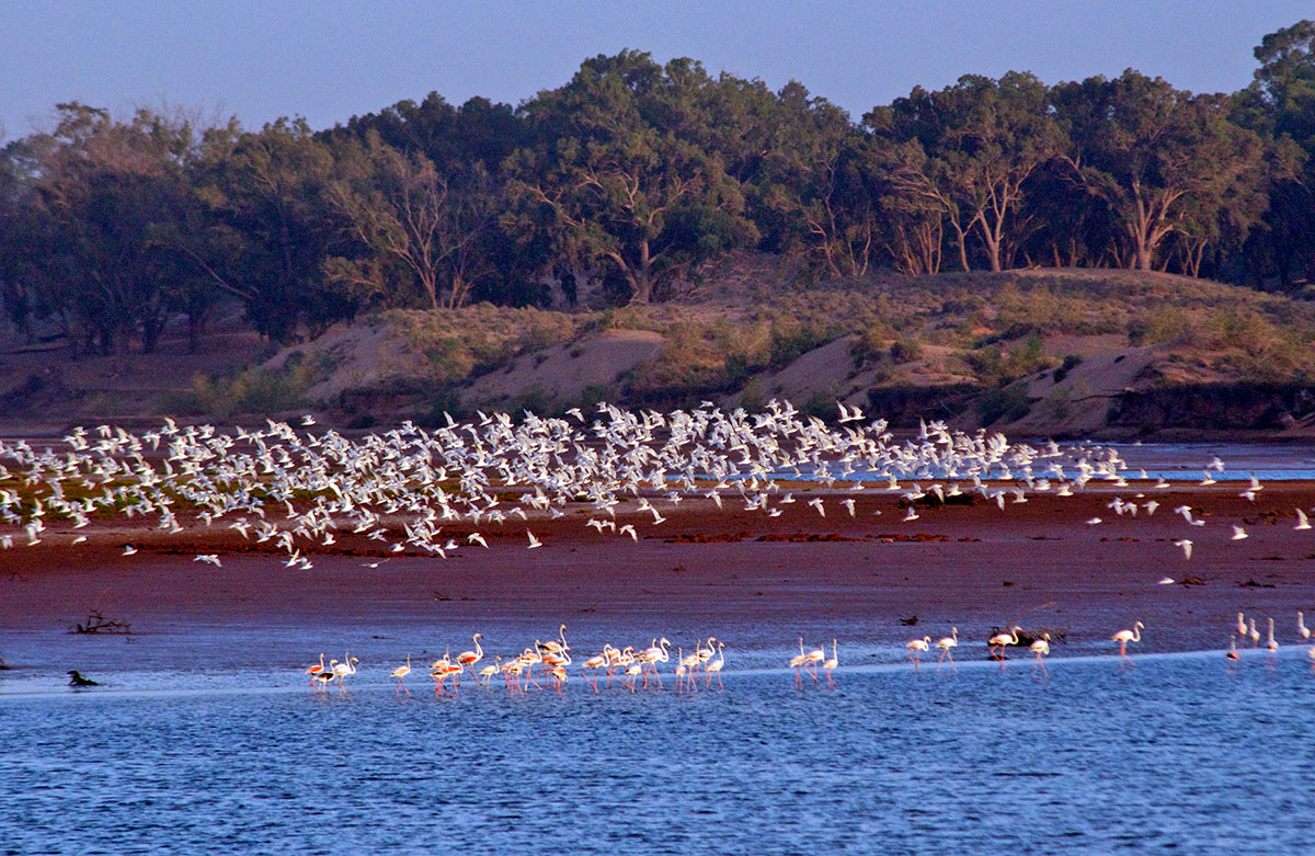 Desembocadura del río Sus Agadir