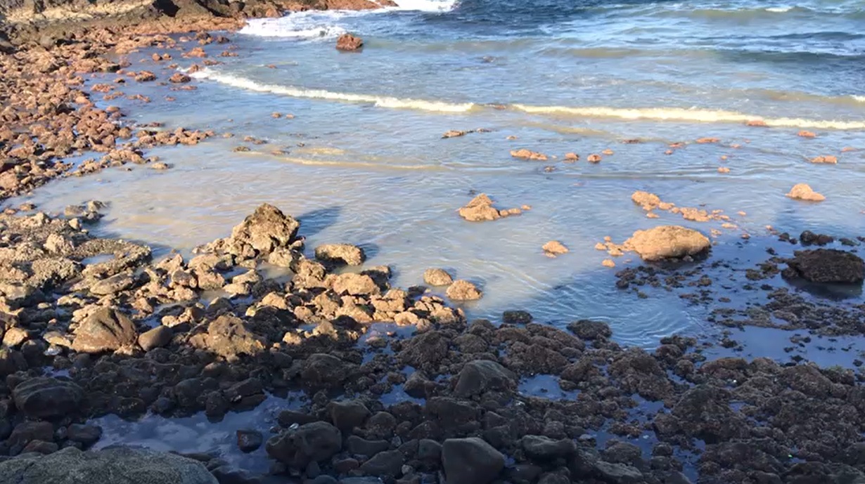 Vertido en Playa La Batata (El Médano)