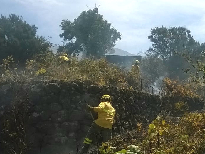 Sofocado un conato de incendio en La Orotava. / CECOPAL