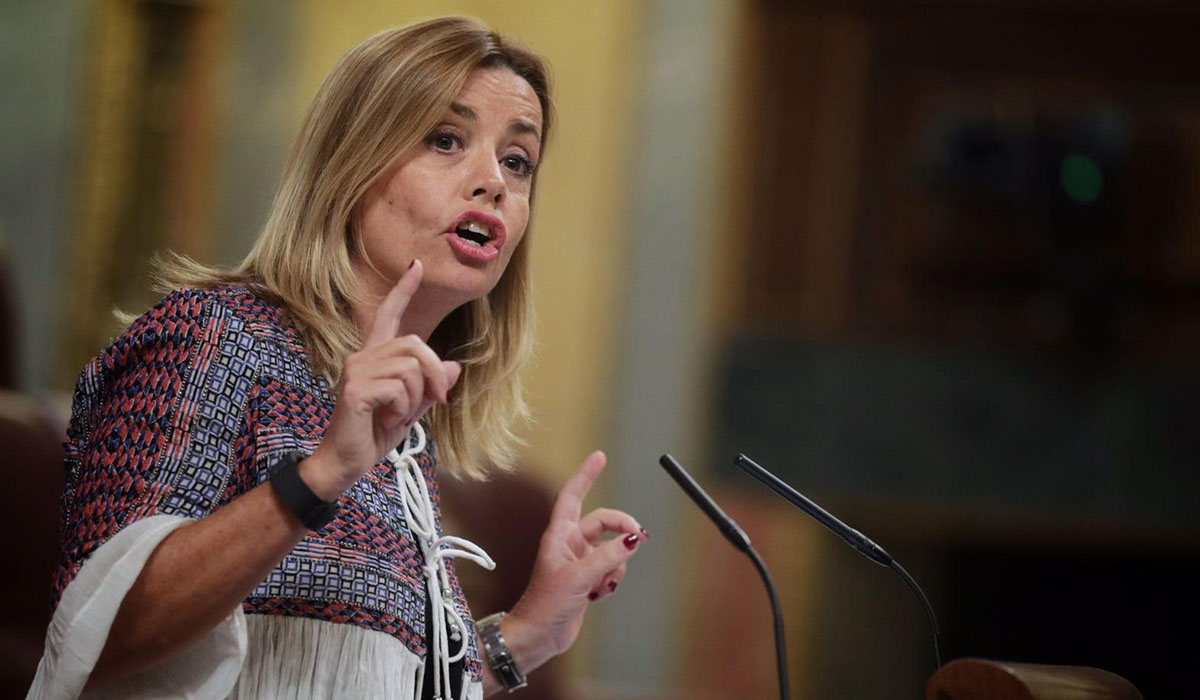 La diputada nacional del Partido Popular (PP) Ana Zurita, en una de sus intervenciones en el Congreso. DA