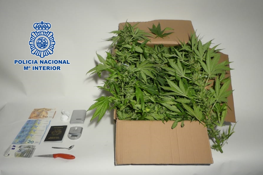 Marihuana aprehendida al detenido. / POLICÍA NACIONAL