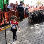 Arona se viste de romería en honor a su patrón, San Antonio Abad / Luz Sosa