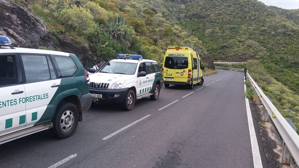 Localizan a un valor extraviado en Anaga| Unidad del Medio Natural