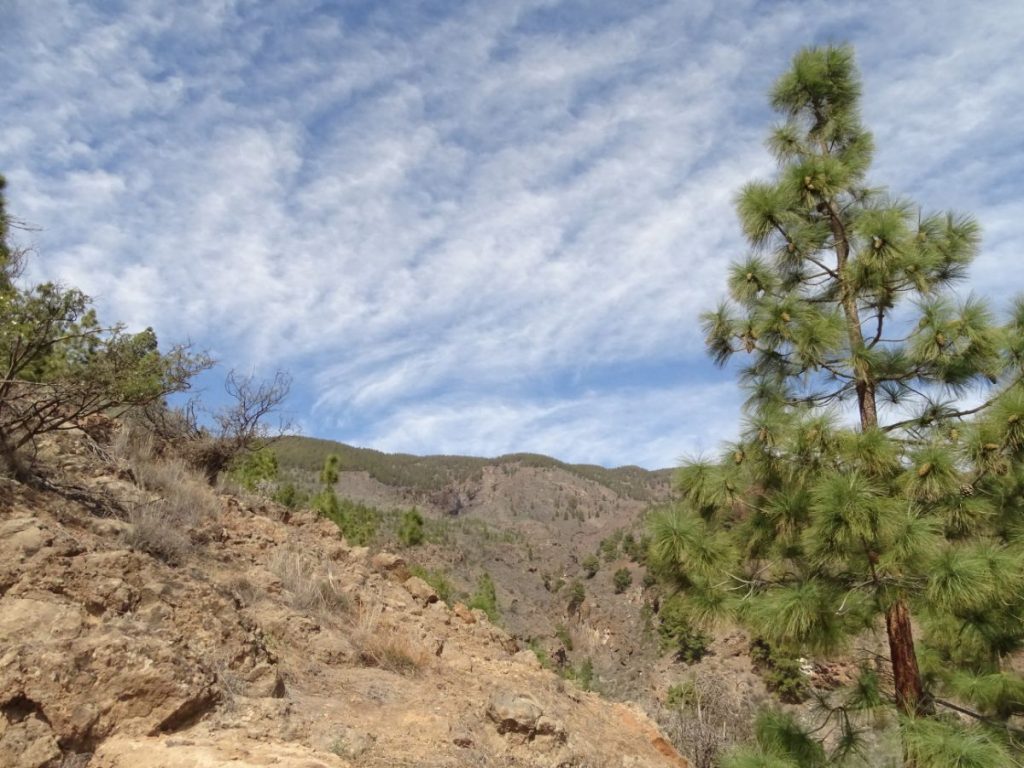 barranco de chifira. / DA