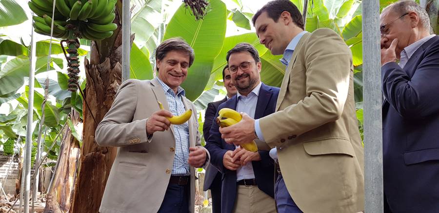 Pablo Casado, Asier Antona y Domingo Martín