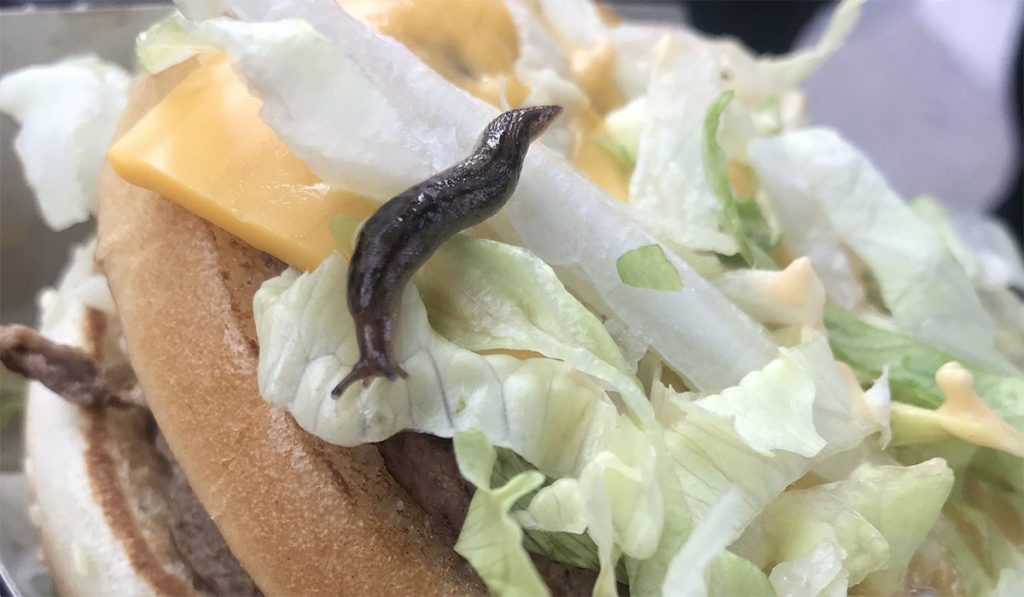 BABOSA HAMBURGUESA MCDONALD'S