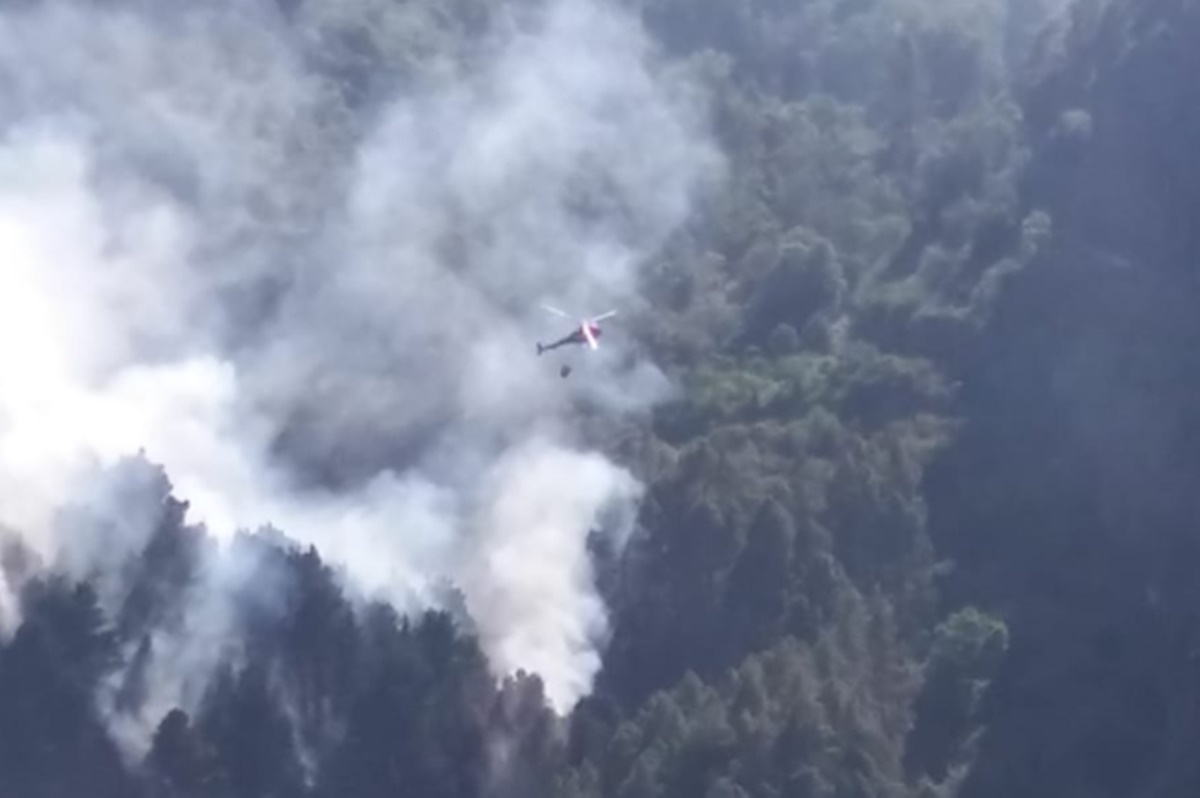 Incendio en Valleseco. Cabildo de Gran Canaria