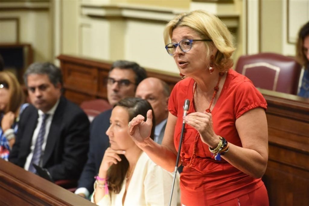 Teresa Cruz (PSOE) y Pepa Luzardo (PP) lamentan que el Gobierno de Canarias haya guardado en la gaveta esta norma desde el 26 de marzo, fecha en la que se aprobó por unanimidad en el Parlamento