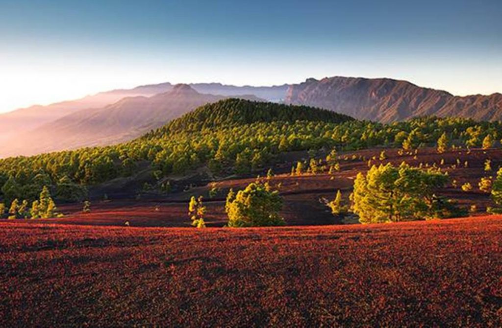 Imagen de uno de los rincones naturales de El Paso. Dominic Dänhke