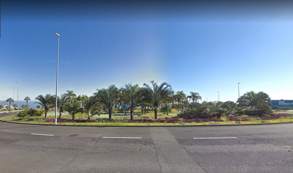 El palmeral de la avenida Litre, en La Gallega, es uno de los puntos afectados. / Google