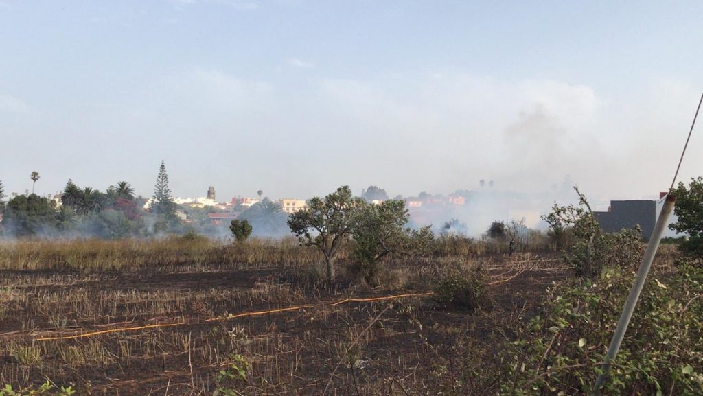 Incendio en la Finca San Diego, en La Laguna| DA